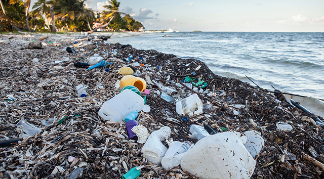 Plastic Waste washed up at shore, Turneffe Atoll, Caribbean, Belize